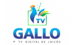 Logo do canal TV Gallo