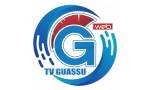 Logo do canal TV Guassu