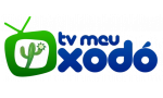 Logo canal TV Meu Xodó