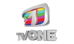 Logo canal TV One