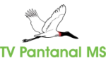 Logo do canal TV Pantanal MS