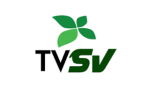 Logo canal TV Serra Verde
